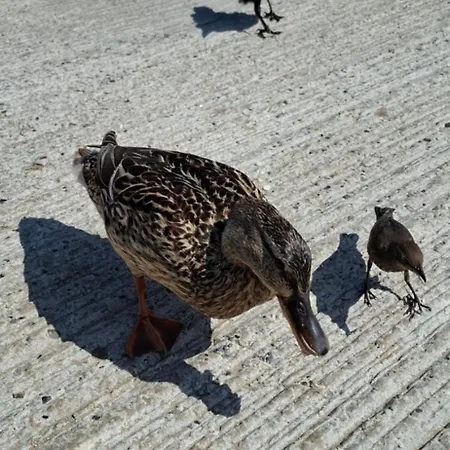 Apartamento Dairy Courtyard *