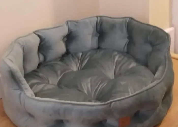 Dairy Courtyard Bunmahon