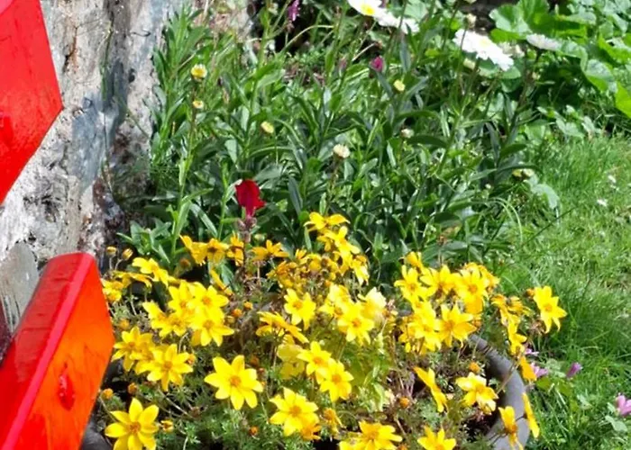 דירה Dairy Courtyard *