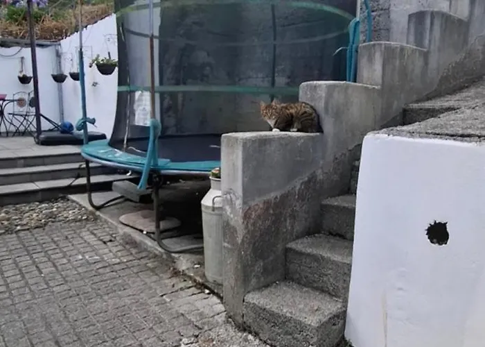 Dairy Courtyard דירה *